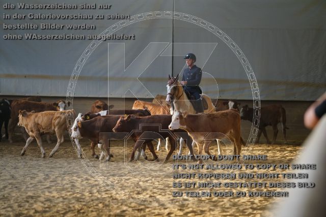 s_K3F02511.JPG